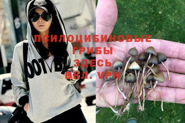 кокаин премиум Нязепетровск
