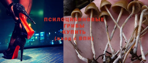 гидра Нягань