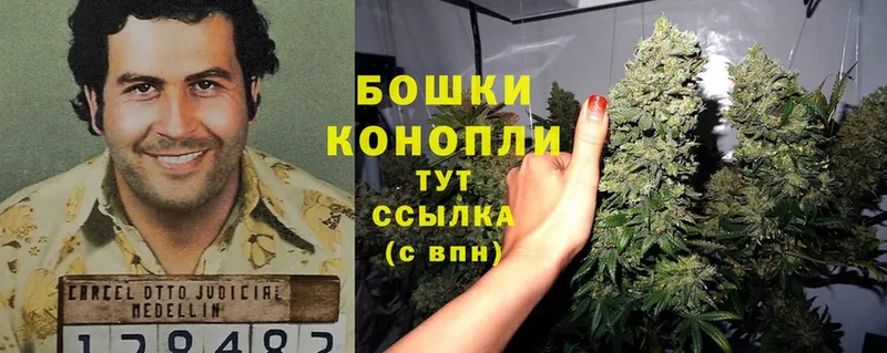 Каннабис Ganja  наркошоп  Лукоянов 